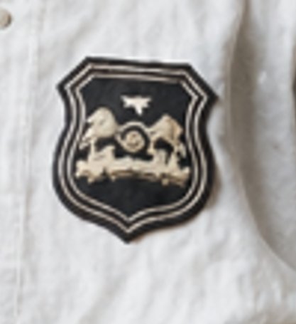 Close-up of the badge on Helen Matthew's blouse, 1895