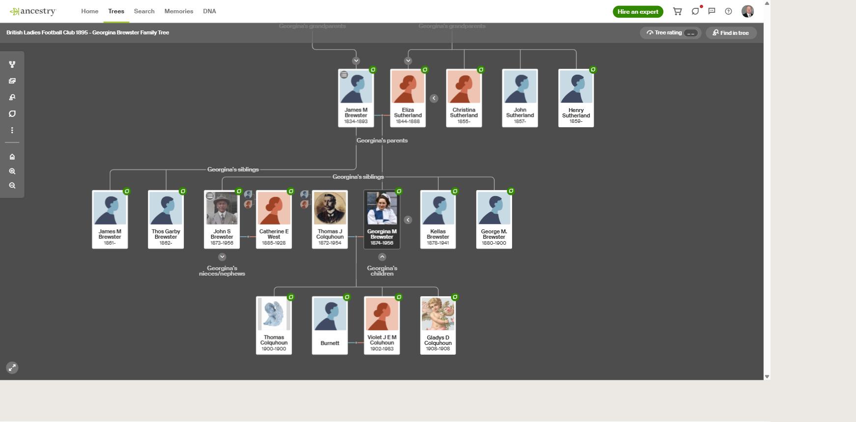 Georgina Brewster Ancestry Family Tree
